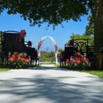 WhatsApp Image 2026-01-16 at 14.49.17 (1)